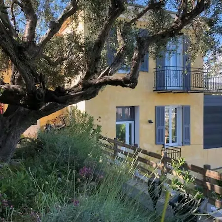 Duplex In With Private Pool In Hills Nice